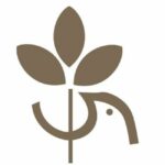 logo universite de paix namur