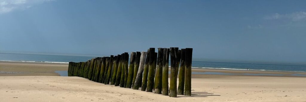 mer chemin de plots